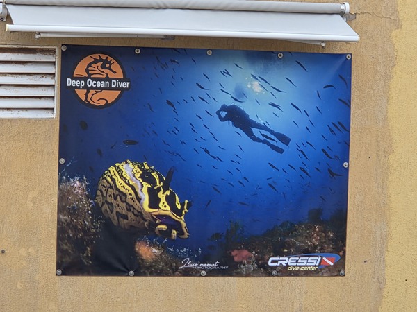 Deep Ocean Diver